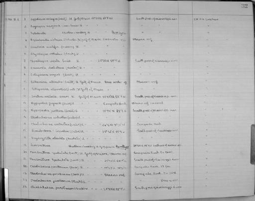 Cleidochasma porcellanum (Busk) - Zoology Accessions Register: Bryozoa: 1950 - 1970: page 32