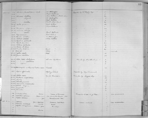 Cyclophorus floridus (L. Pfeiffer, 1855) - Zoology Accessions Register: Mollusca: 1925 - 1937: page 83