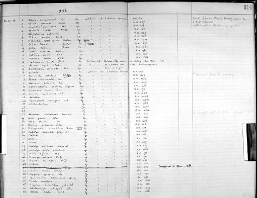 Gellius topsenti Burton - Zoology Accessions Register: Spongiida: 1918 - 1928: page 114