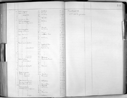 Strix woodfordii woodfordi - Zoology Accessions Register: Aves (Skins): 1909 - 1911: page 166