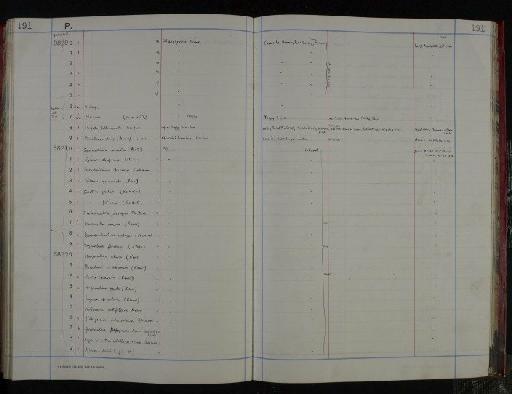 Ammobaculites parvispira Dam, 1950 - NHM-UK_P_DF118_04_05_0387