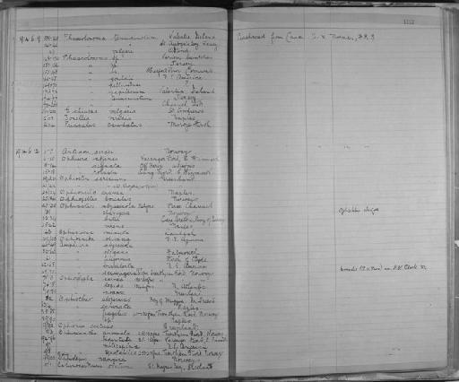 Antedon sarsii (Duben & Koren, 1846) - Zoology Accessions Register: Annelida & Echinoderms: 1884 - 1923: page 183