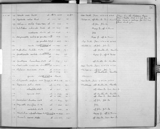 Cleidochasma areolata (Canu and Bassler) - Zoology Accessions Register: Bryozoa: 1922 - 1949: page 56