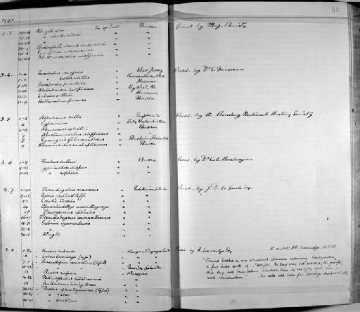 Abbottina rivularis Basilewsky, 1855 - Zoology Accessions Register: Fishes: 1912 - 1936: page 83