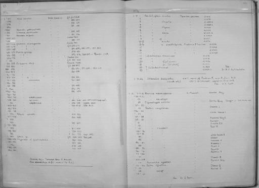 Varicorhinus nyasensis Worthington, 1933 - Zoology Accessions Register: Fishes: 1971 - 1985: page 84