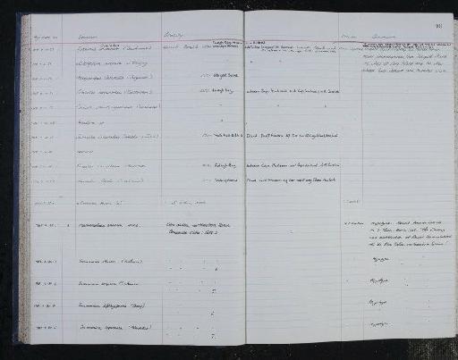 Psammosphaera bowmanni Heron-Allen & Earland, 1912 - NHM-UK_P_DF118_04_14_0199