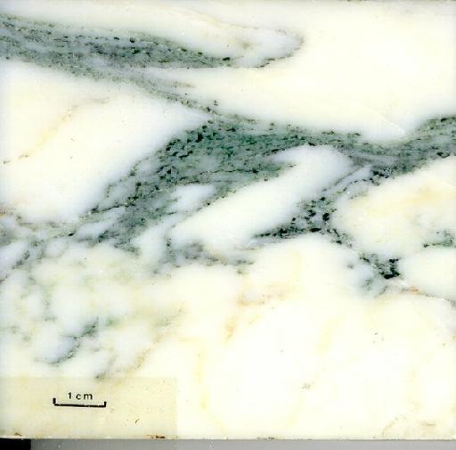 Arni alto - e11884.tif