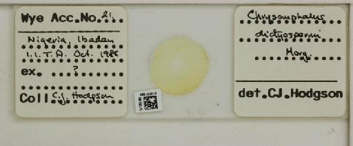 Chrysomphalus dictyospermi Morgan, 1899 - 014321698__