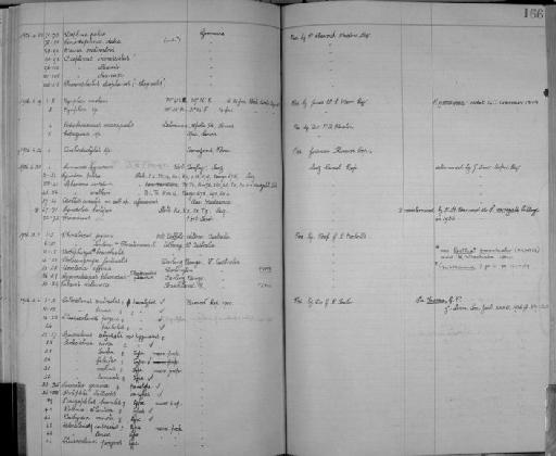 Nymphon mixtum Krøyer, 1844 - Zoology Accessions Register: Crustacea: 1905 - 1935: page 166