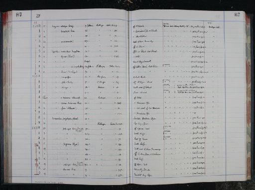 Uvigerina legumen var. arquata - NHM-UK_P_DF118_04_16_0179