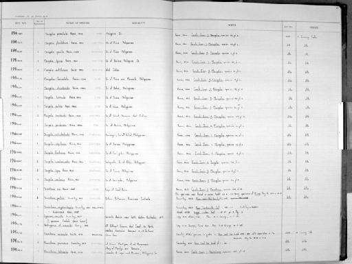 Mangelia capillacea Reeve, 1846 - Zoology Accessions Register: Mollusca: 1962 - 1969: page 68