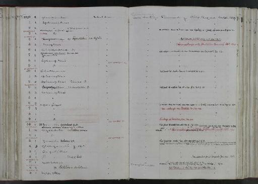 Hepaticites ruffordi Watson, 1969 - NHM-UK_P_DF118_02_66_0163