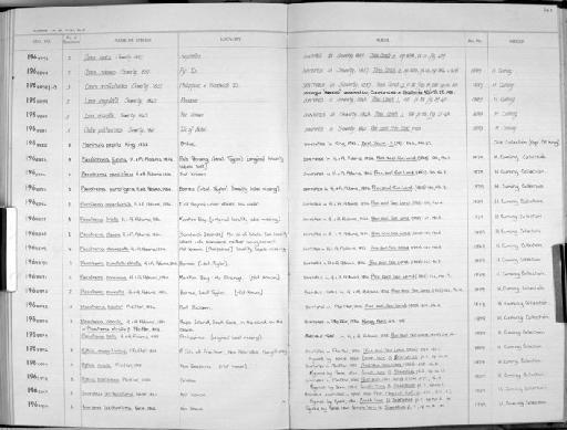 Chiton pulcherrimus Sowerby, 1841 - Zoology Accessions Register: Mollusca: 1962 - 1969: page 243