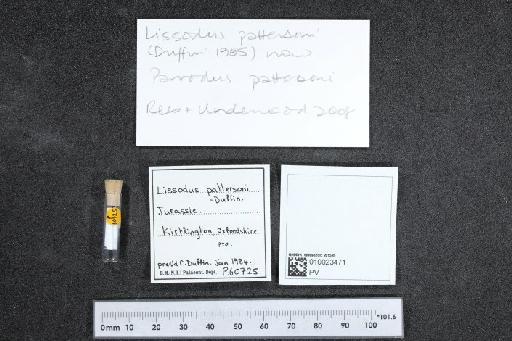 Lissodus pattersoni infraphylum Gnathostomata Duffin, 1981 - 010023471_L010040460