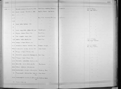 Nothria iridescens Johnston, 1901 - Zoology Accessions Register: Annelida: 1936 - 1970: page 191