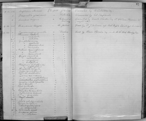 Glyphisodon sindensis - Zoology Accessions Register: Fishes: 1912 - 1936: page 62