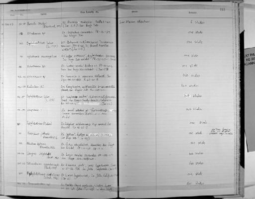 Diphyllobothrium latum (Linnaeus, 1758) - Zoology Accessions Register: Platyhelminth: 1971 - 1981: page 215
