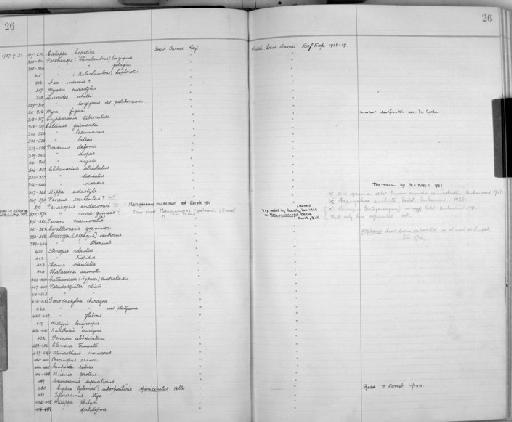 Saron marmoratus (Olivier, 1811) - Zoology Accessions Register: Crustacea: 1935 - 1962: page 26