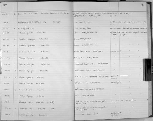 Elasmopus rapax parvorder Hadziidira Costa, 1853 - Zoology Accessions Register: Crustacea: 1991 - 1993: page 97