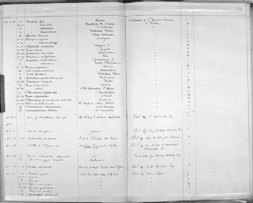 Bellardiella crassilabris von Möllendorff, 1899 - Zoology Accessions Register: Mollusca: 1906 - 1911: page 135