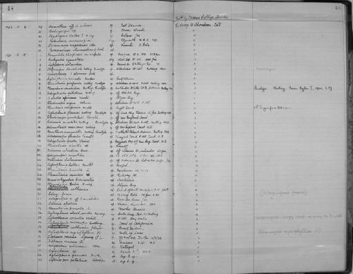 Plumularia profunda Nutting, 1900 - Zoology Accessions Register: Coelenterata: 1951 - 1958: page 48