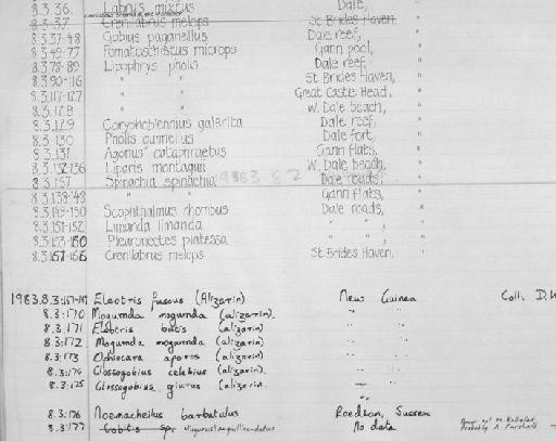 Eleotris fuscus - Zoology Accessions Register: Fishes: 1971 - 1985: page 369A