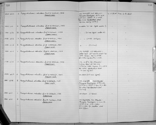 Paragathotanais robustus Bird & Holdich, 1988 - Zoology Accessions Register: Crustacea: 1984 - 1991: page 168