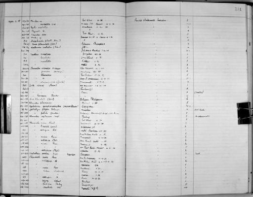 Cyclostrema quadricarinatum Melvill & Standen, 1901 - Zoology Accessions Register: Mollusca: 1938 - 1955: page 131