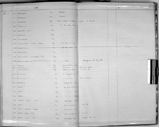 Desmacidon Bowerbank, 1861 - Zoology Accessions Register: Spongiida: 1918 - 1928: page 71