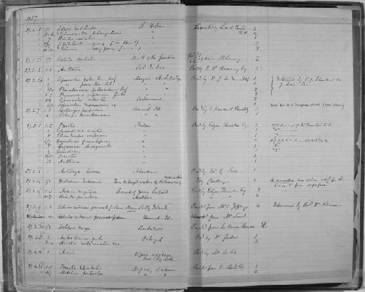 Distomum halosauri Bell, 1887 - Zoology Accessions Register: Annelida & Echinoderms: 1884 - 1923: page 17