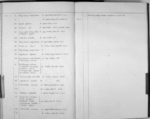 Cribrilaria innominata (Couch, 1844) - Zoology Accessions Register: Bryozoa: 1971 - 1986: page 29