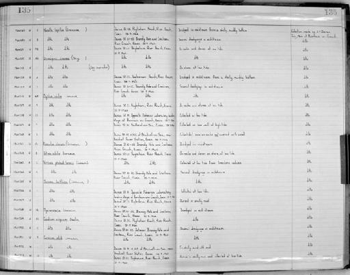 Ostrea edulis Linnaeus, 1758 - Zoology Accessions Register: Mollusca: 1956 - 1978: page 135