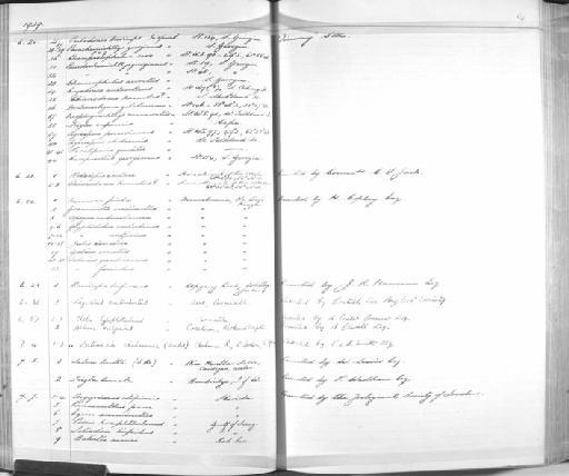 Chionodraco rastrospinosus Dewitt & Hureau, 1979 - Zoology Accessions Register: Fishes: 1937 - 1960: page 54