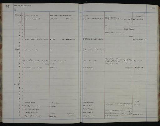 Productus llangollensis Davidson - NHM-UK_P_DF118_05_11_0197