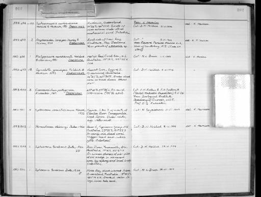 Caecocassidias patagonica Kussakin, 1967 - Zoology Accessions Register: Crustacea: 1976 - 1984: page 262