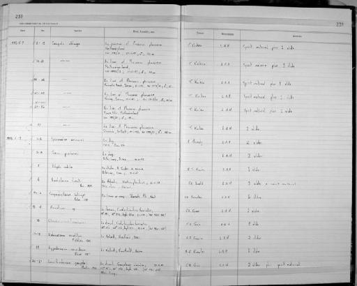 Glomericirrus macrouri (Gaevskaja, 1973) Gaevskaja, 1979 - Zoology Accessions Register: Platyhelminth: 1987 - 1993: page 239