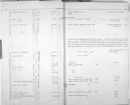 Suncus murinus Linnaeus, 1766 - Zoology Accessions Register: Mammals: 1967 - 1970: page 2