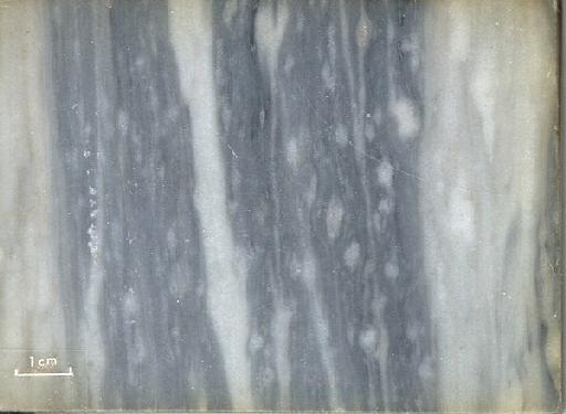 Bardiglio tigrato - e11898.tif