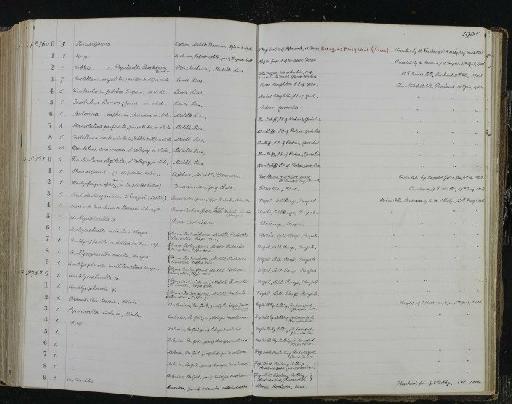 Frondicularia pulchra Terquem, 1858 - NHM-UK_P_DF118_04_01_0463