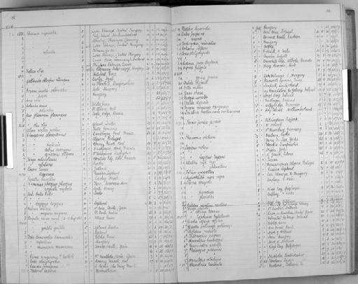 Porzana pusilla intermedia (Hermann, 1804) - Bird Group Collector Register: Aves - Witherby Collection & Ticehurst Collection: 1934 - 1941: page 21