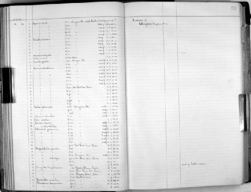 Corvus corone orientalis - Zoology Accessions Register: Aves (Skins): 1909 - 1911: page 59