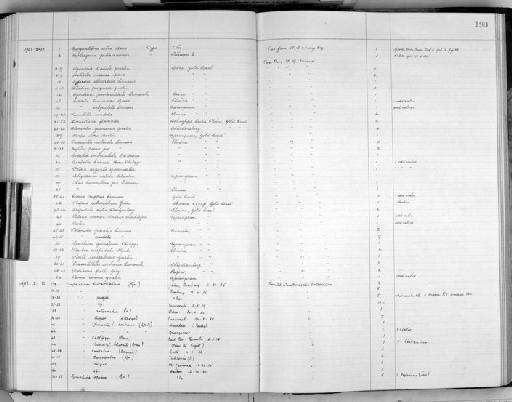 Fissurella nubecula (Linnaeus, 1758) - Zoology Accessions Register: Mollusca: 1938 - 1955: page 190