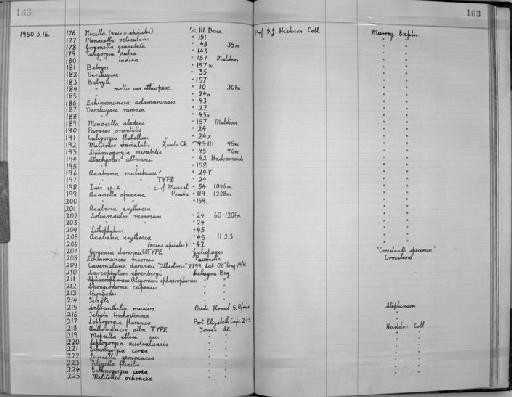 Gorgonia darwinii Hickson, 1928 - Zoology Accessions Register: Coelenterata: 1934 - 1951: page 163