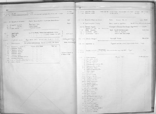 Oostethus aculeatus (Kaup, 1856) - Zoology Accessions Register: Fishes: 1971 - 1985: page 195