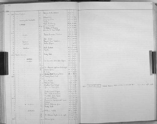 Corvus ruficollis ruficollis Lesson, 1831 - Bird Group Collector Register: Aves - Witherby Collection & Ticehurst Collection: 1934 - 1941: page 77