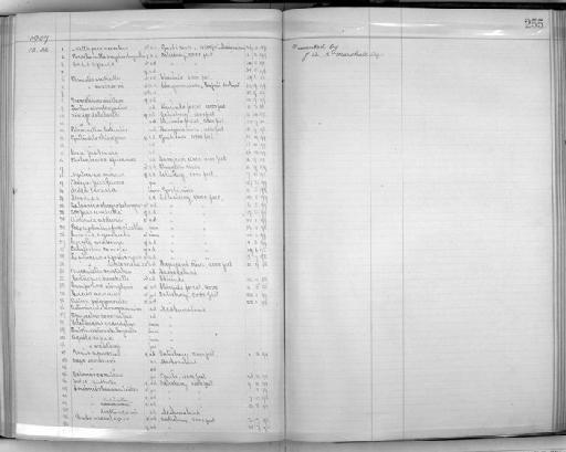 Falco tinnunculus rupicolus - Zoology Accessions Register: Aves (Skins): 1906 - 1908: page 255