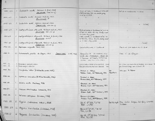 Subulella scotti Holdich & Bird, 1986 - Zoology Accessions Register: Crustacea: 1984 - 1991: page 6