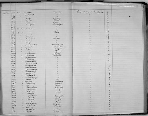 Buliminus brevidens - Zoology Accessions Register: Mollusca: 1911 - 1924: page 166