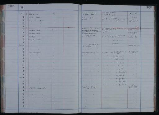 Fallax dalliniformis Atkins, 1960 - NHM-UK_P_DF118_05_01_0205