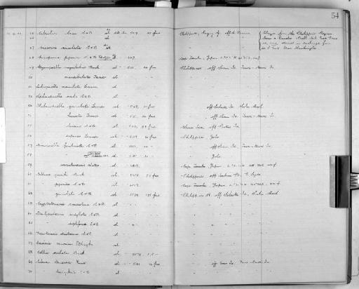 Microporina japonica Canu and Bassler - Zoology Accessions Register: Bryozoa: 1922 - 1949: page 54